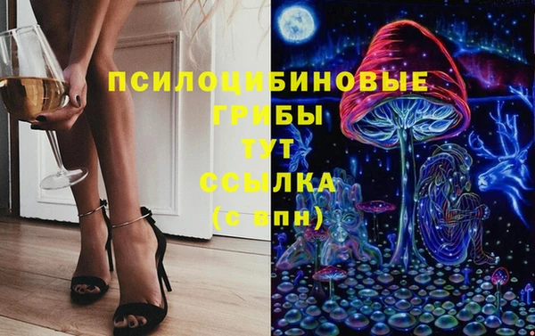 гидропоника Верея